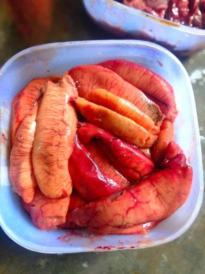 ইলিশ মাছের ডিম